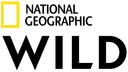 tv image